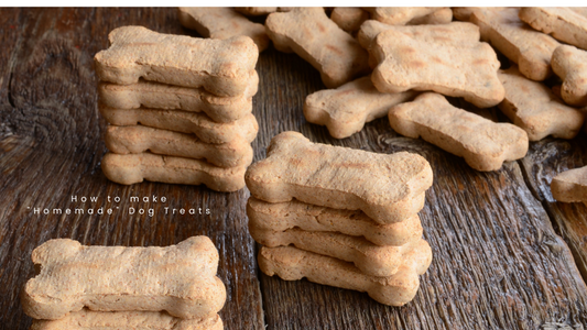 How to make "Homemade" Dog Treats