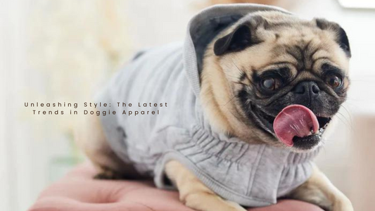 Unleashing Style: The Latest Trends in Doggie Apparel