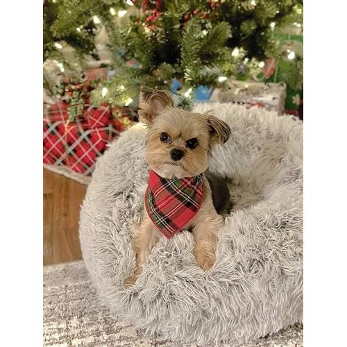 Christmas and Holiday Bandana