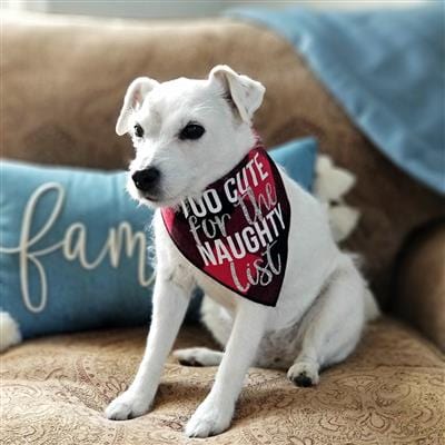 Too Cute For The Naughty List Holiday Dog Bandana