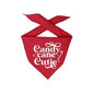 Candy Cane Cutie Holiday Dog Bandana