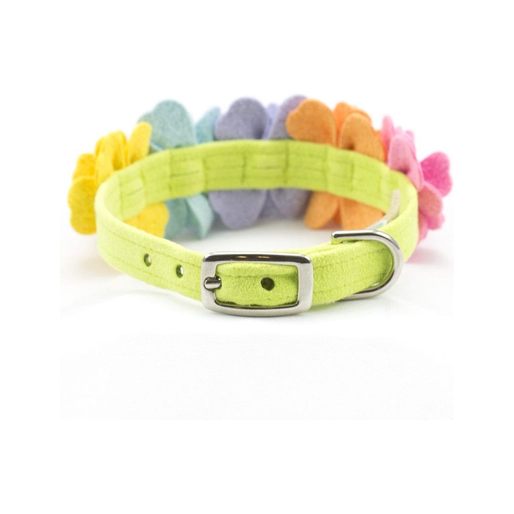 Rainbow Tinkie's Garden Flower Collar