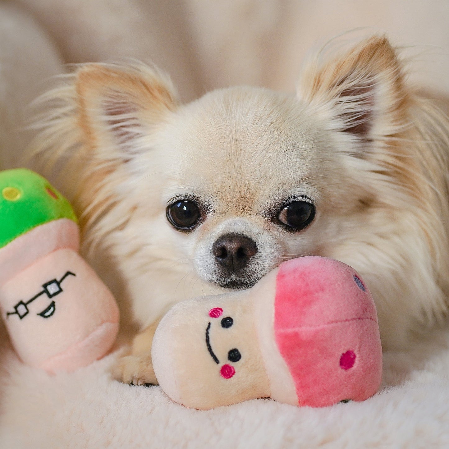 Plush Mushroom Squeaky Dog Toy