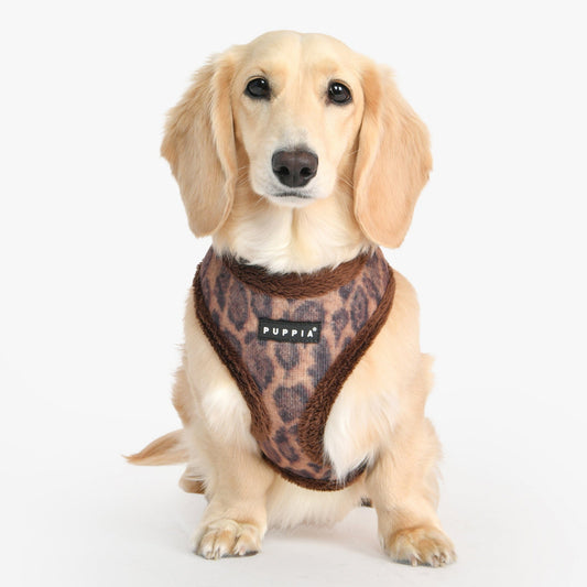 KOVO HARNESS A - BROWN