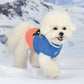 BRUNO DOG SWEATER - BLUE