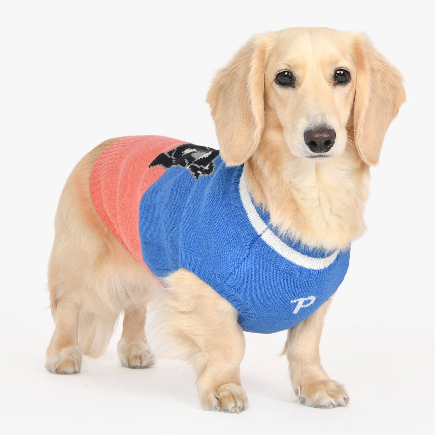 BRUNO DOG SWEATER - BLUE