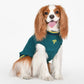 JOISE DOG SWEATER - GREEN