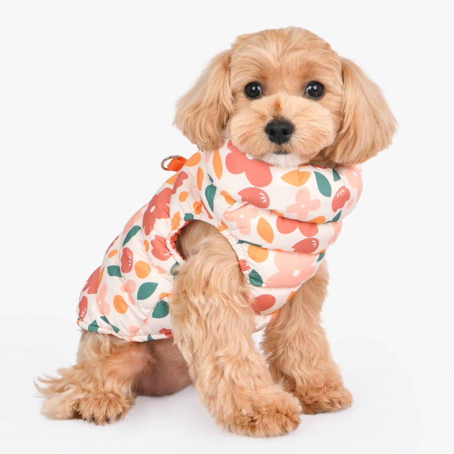 HIBISCUS DOG COAT - ORANGE