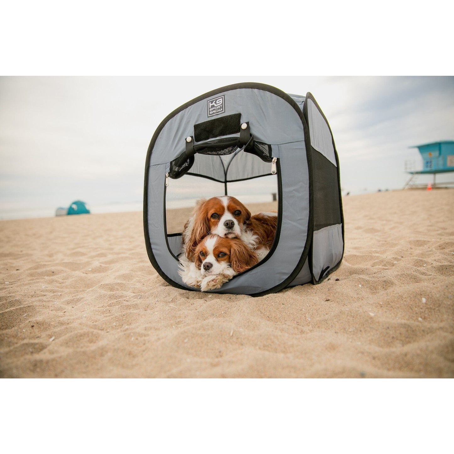 K9 Sport Sack Kennel Pop-Up Dog Tent