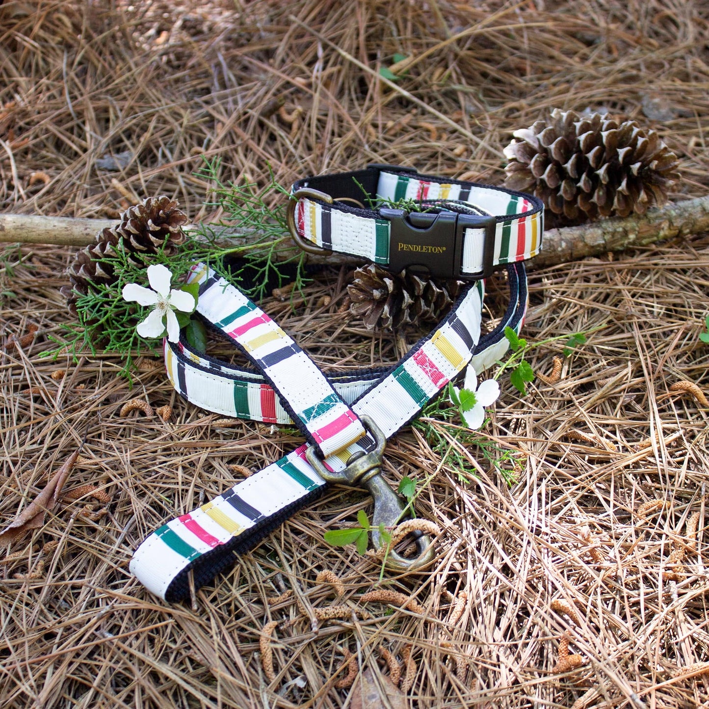 Pendleton National Park Hiker Pet Collar and Leash Collection - Glacier