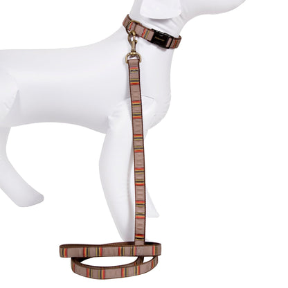 Pendleton Vintage Camp Hiker Pet Collar and Leash Collection - Mineral Umber