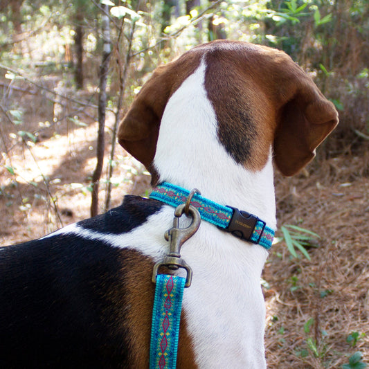 Pendleton Pet Classic Collar and Leash Collection - Diamond River Turquoise