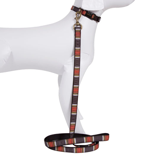 Pendleton National Park Hiker Pet Collar and Leash Collection - Acadia