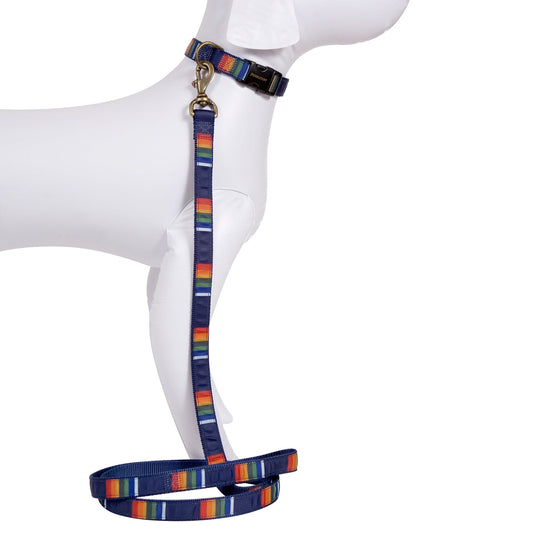 Pendleton National Park Hiker Pet Collar and Leash Collection - Crater Lake