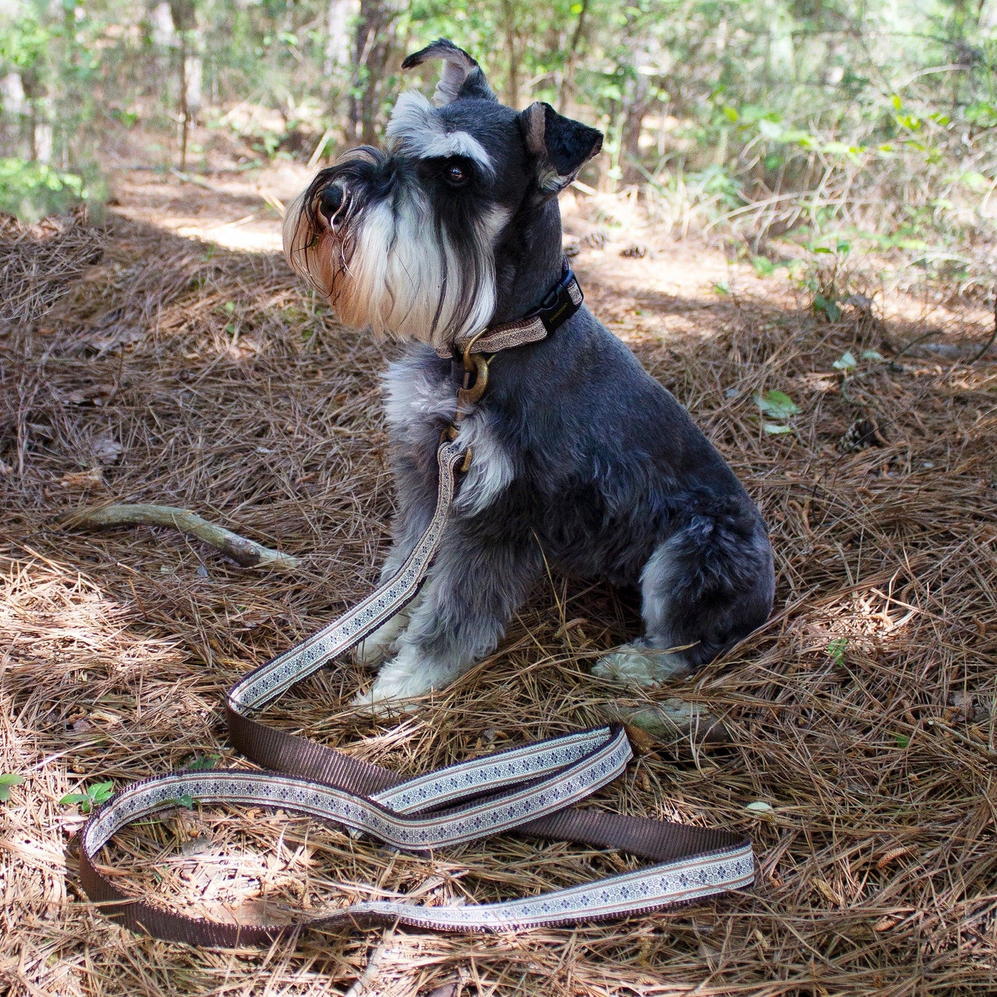 Pendleton Pet Classic Collar and Leash Collection - Westerly