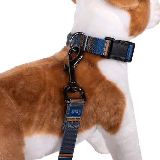 Pendleton National Park Adventure Pet Collar and Leash Collection - Olympic