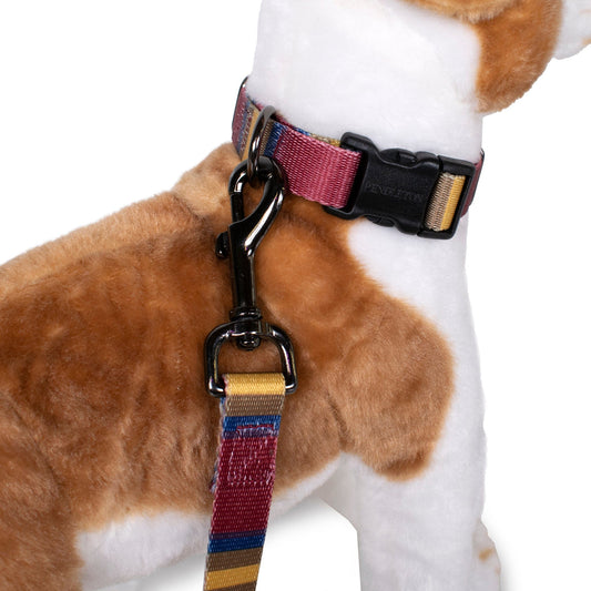 Pendleton National Park Adventure Pet Collar and Leash Collection - Zion