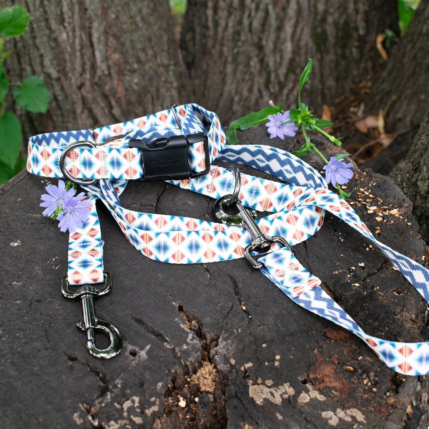 Pendleton Adventure Collar and Leash Collection - Falcon Cove