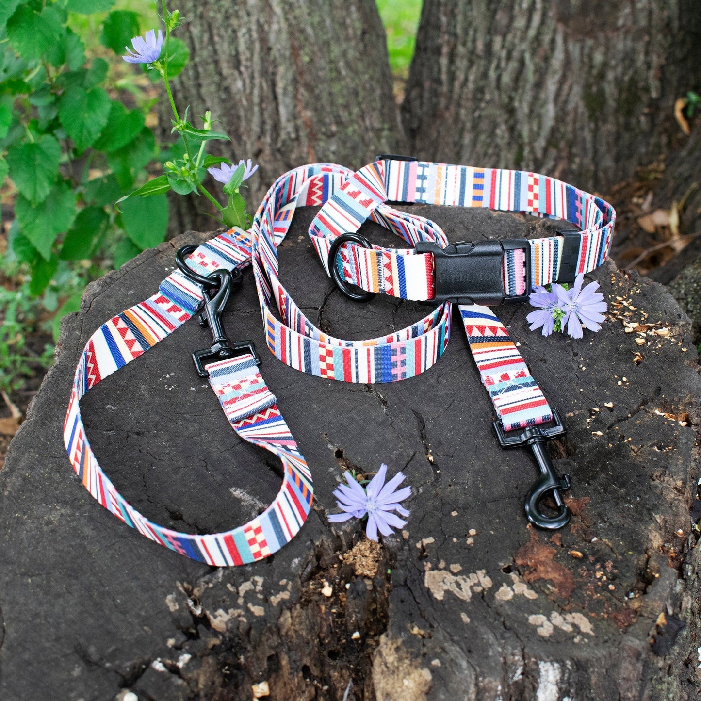 Pendleton Adventure Collar and Leash Collection - Tamiami