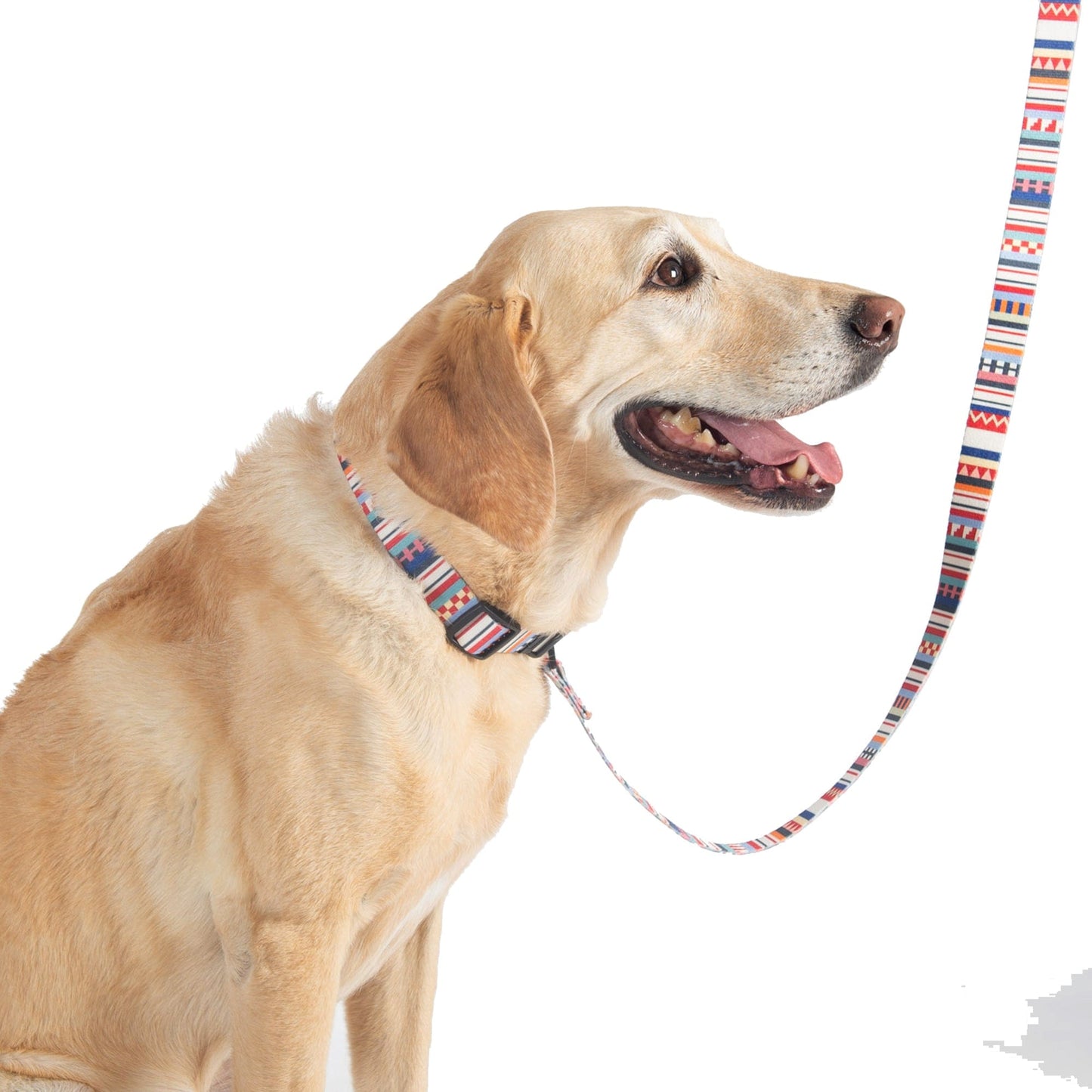 Pendleton Adventure Collar and Leash Collection - Tamiami