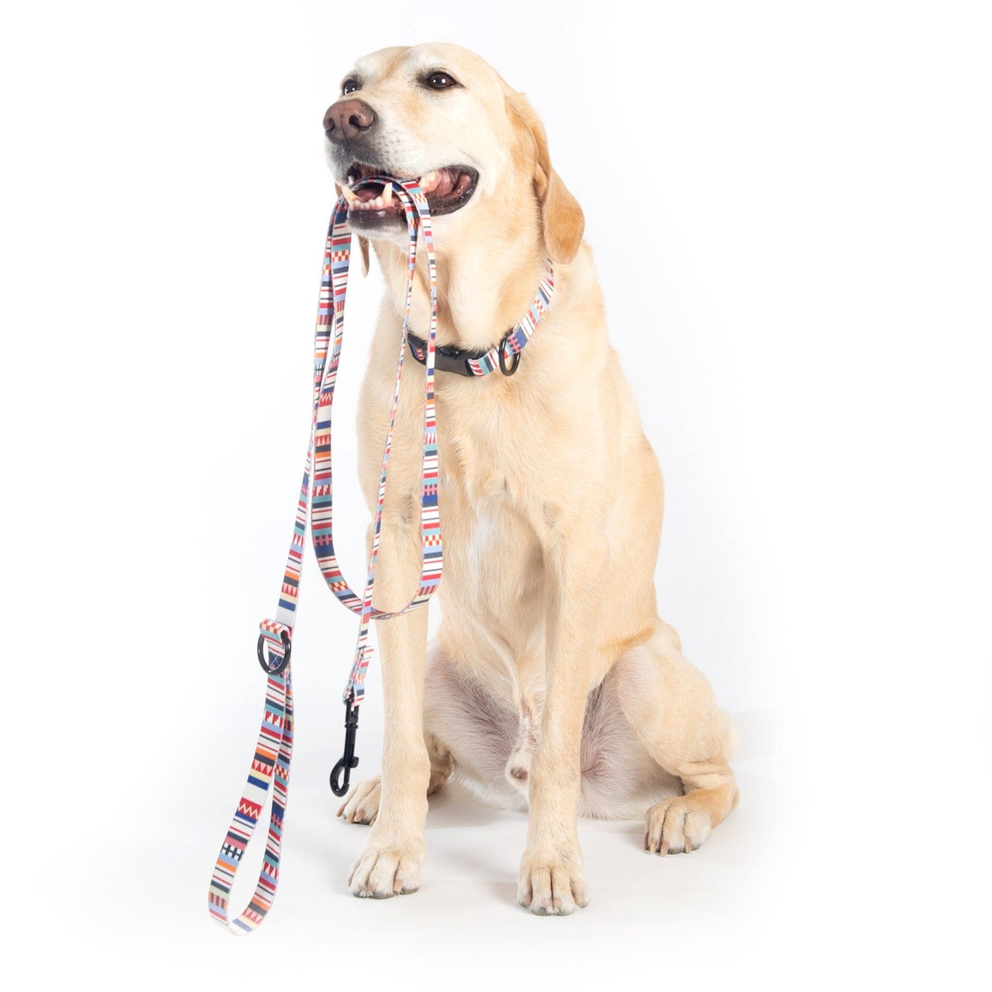 Pendleton Adventure Collar and Leash Collection - Tamiami