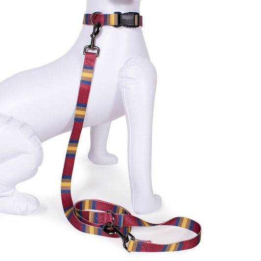 Pendleton National Park Adventure Pet Collar and Leash Collection - Zion