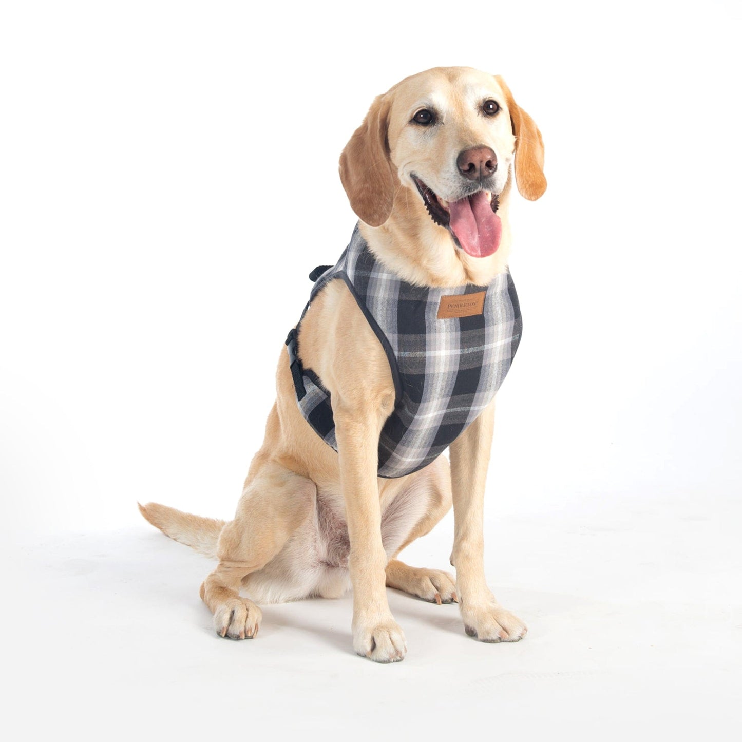 Pendleton Pet Classic Dog Harness - Charcoal Ombre