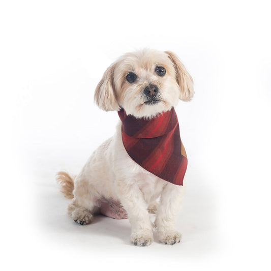 Pendleton Pet Plaid Bandana - Red Ombre