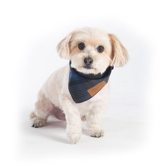 Pendleton Pet Plaid Bandana Gift Set