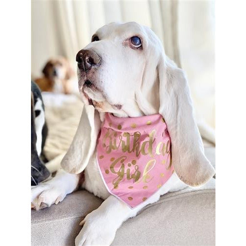 Birthday Girl Dog Bandana - Pink with Gold Polka Dots