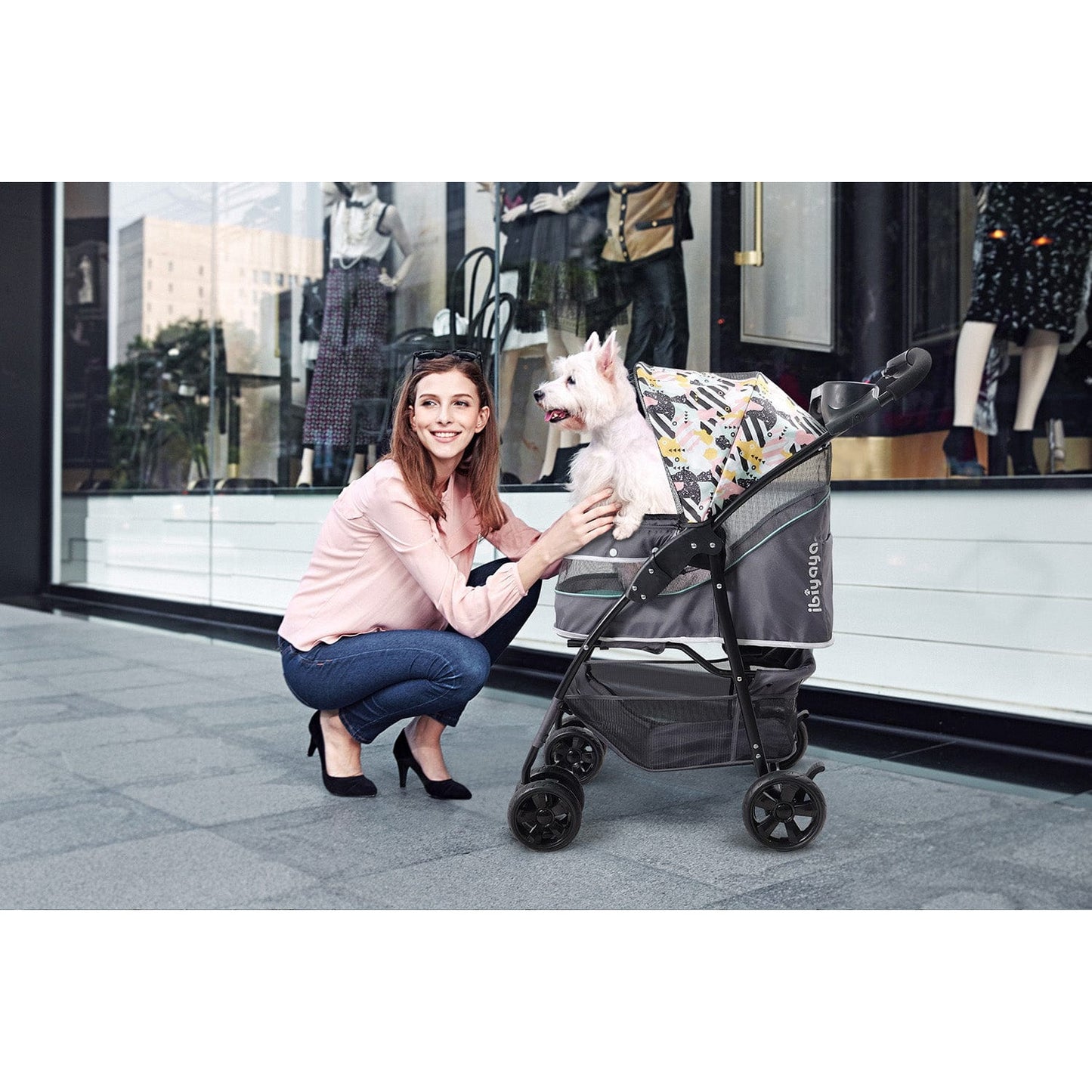 Cloud 9 Pet Stroller - Mint Green