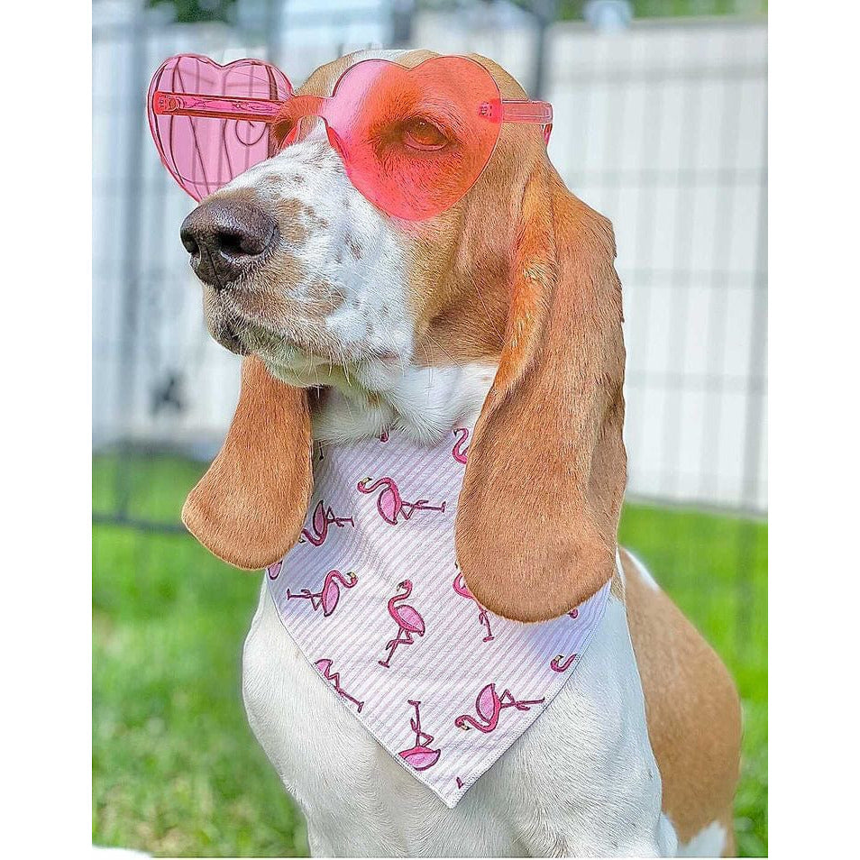 Beachy Pink Flamingo Dog Bandana