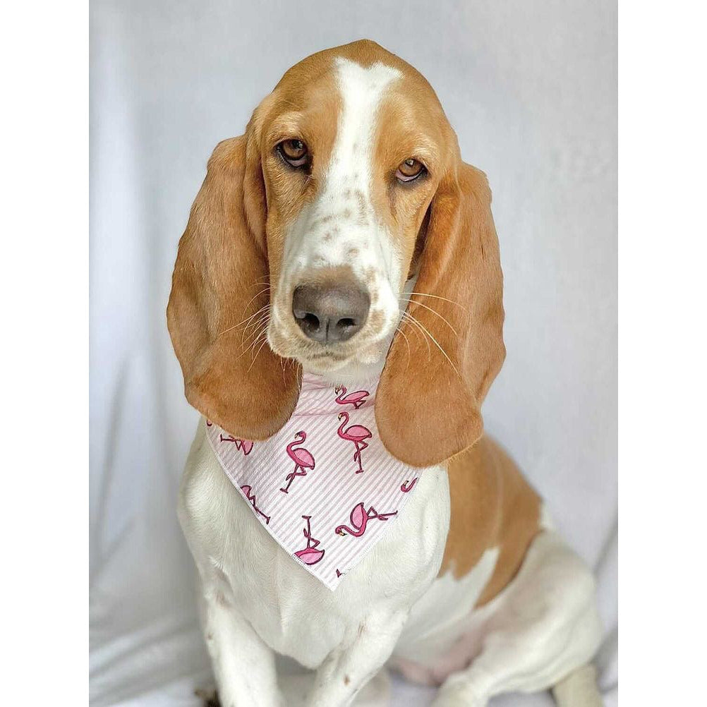 Beachy Pink Flamingo Dog Bandana