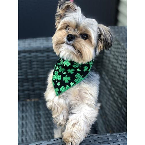 St. Patrick's Day Dog Bandana - Black with Shamrocks