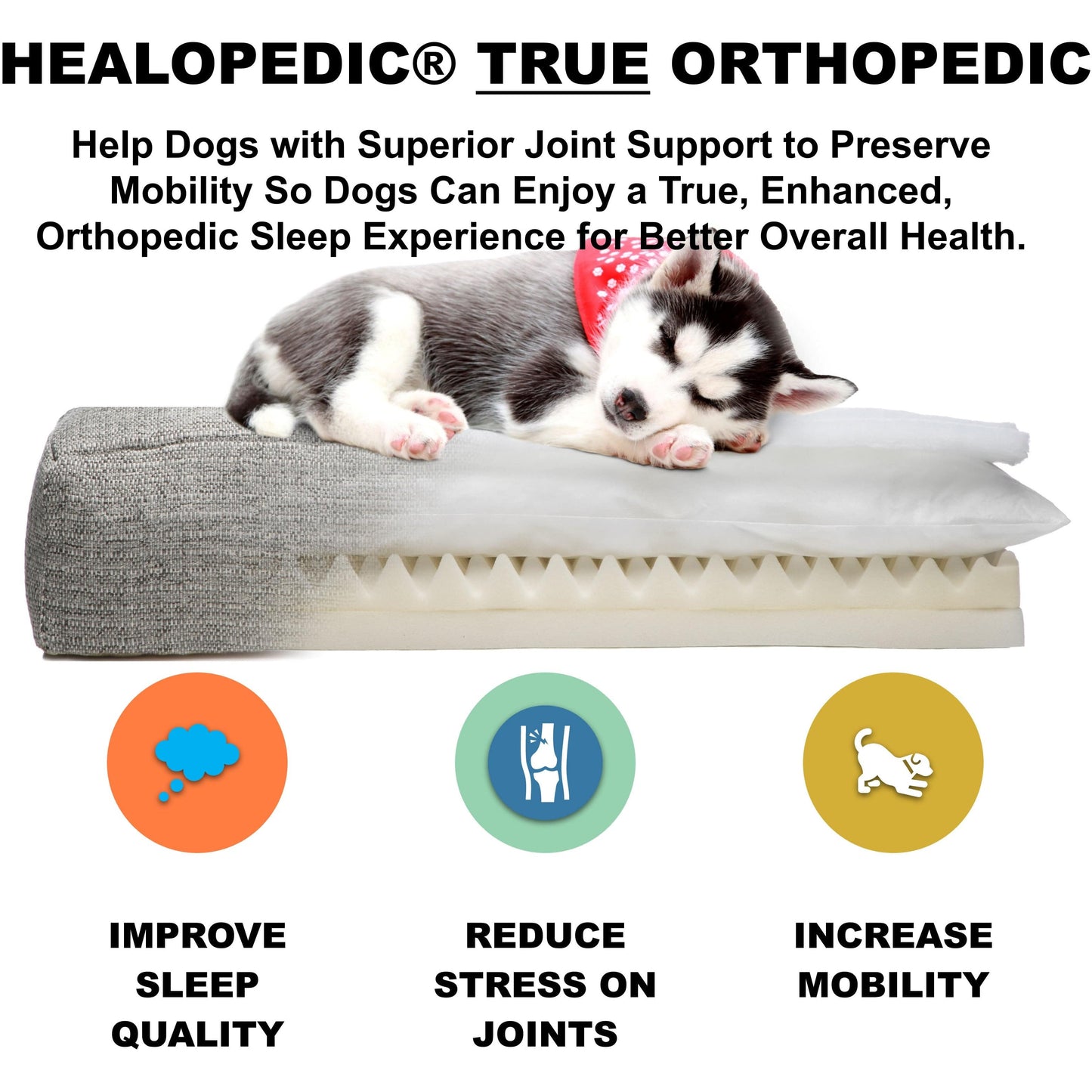 Milo Orthopedic Dog Bed - Earth