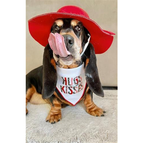 Hugs and Kisses Valentines Day Dog Bandana