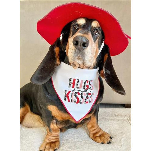 Hugs and Kisses Valentines Day Dog Bandana