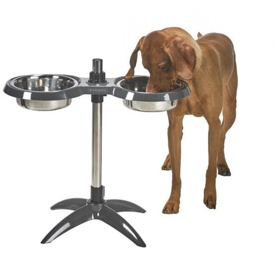 Moderno Adjustable Dog Feeder Bright White