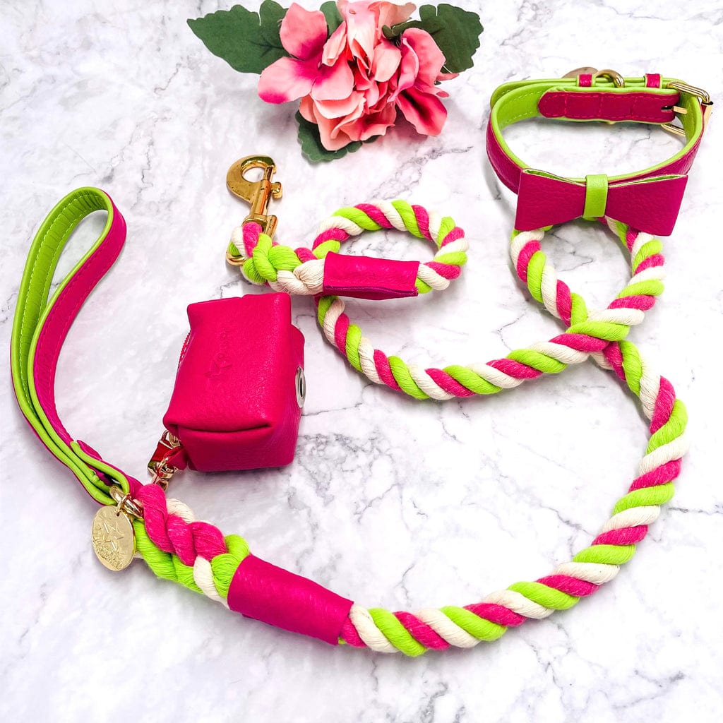 Leash - Candy Swirl