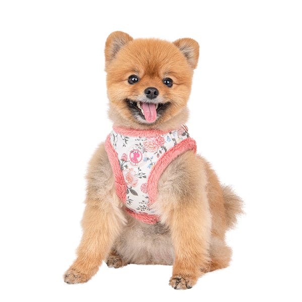 Calla Vest Dog Harness - Ivory