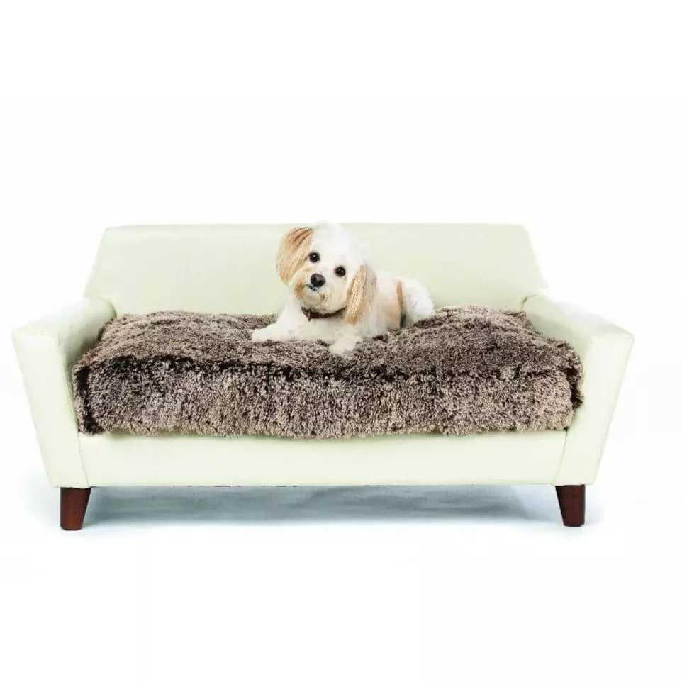 Rivoli Orthopedic Dog Bed  - Brown