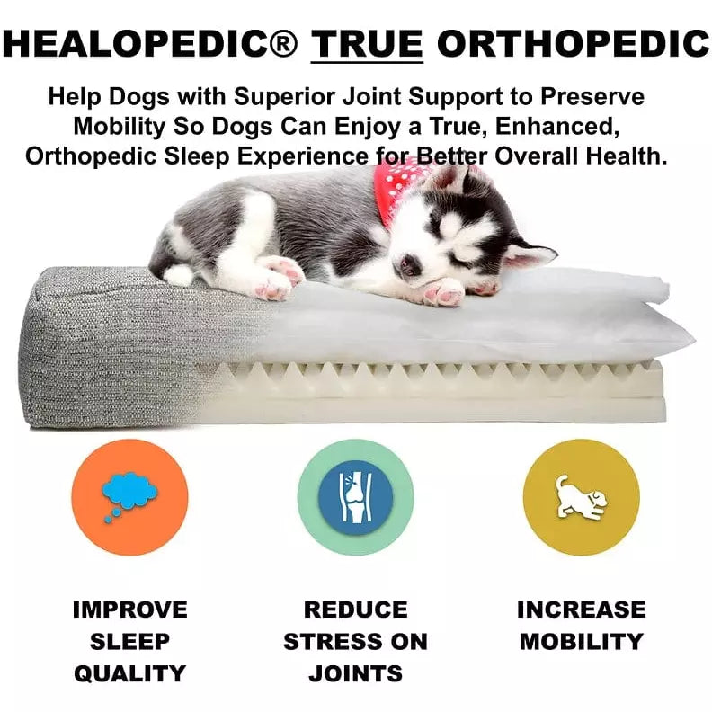 Rivoli Orthopedic Dog Bed  - Tan