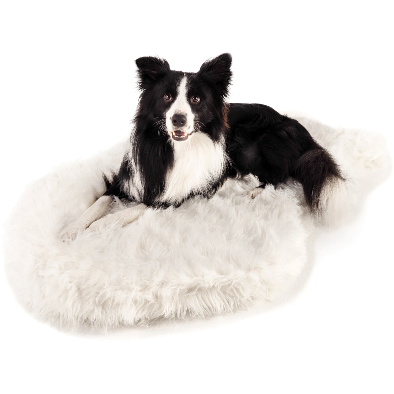 PupRug™ Faux Fur Orthopedic Dog Bed - Curve Polar White