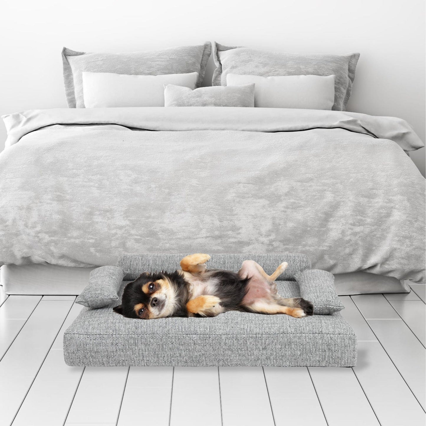 Allure Orthopedic Dog Bed