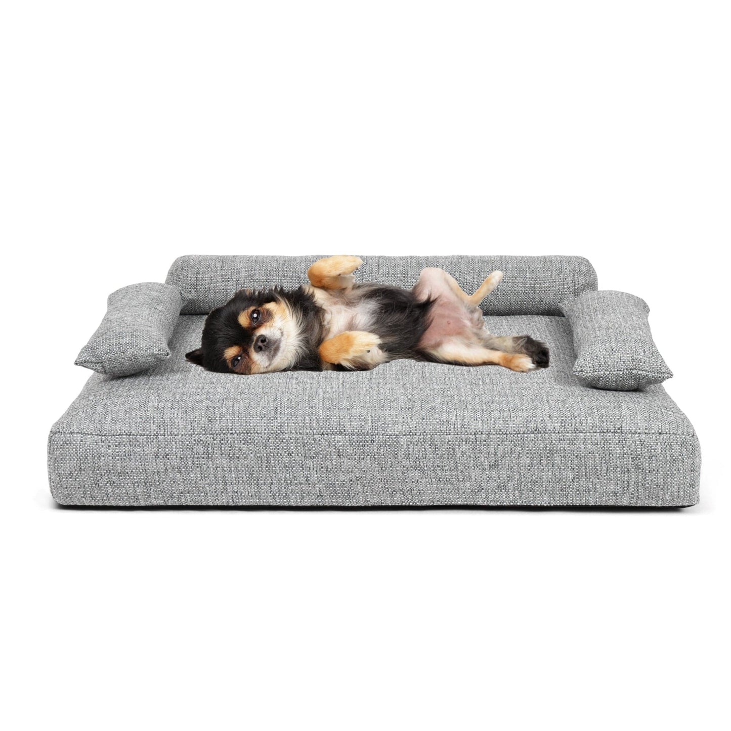 Allure Orthopedic Dog Bed