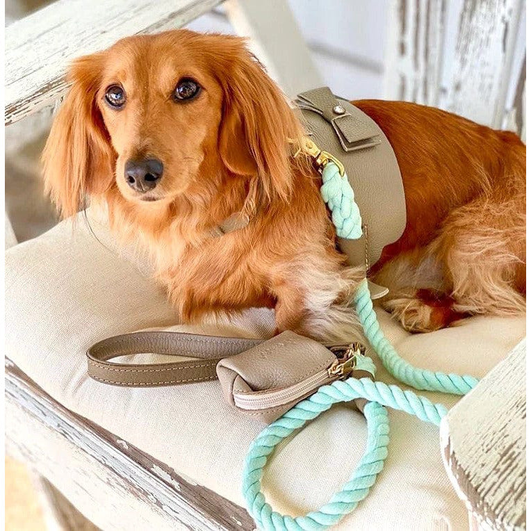 Dog Harness - Desert Mint