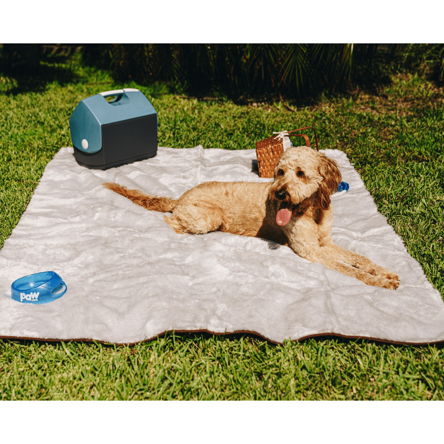 PupProtector™ Cool Comfort Waterproof Throw Blanket - Grey