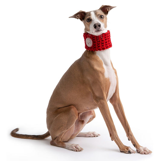 GF Pets Chalet Tube Scarf - Red