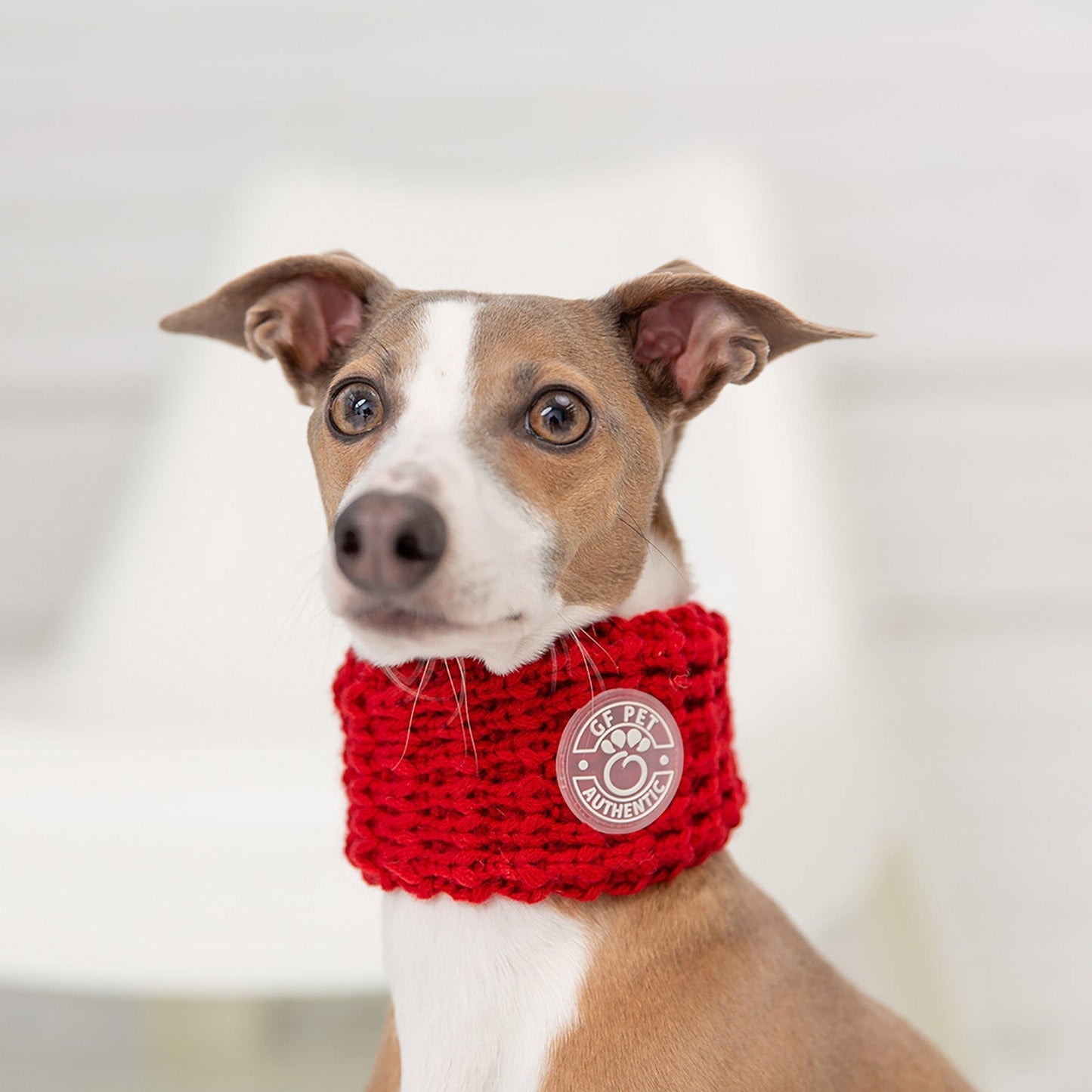 GF Pets Chalet Tube Scarf - Red