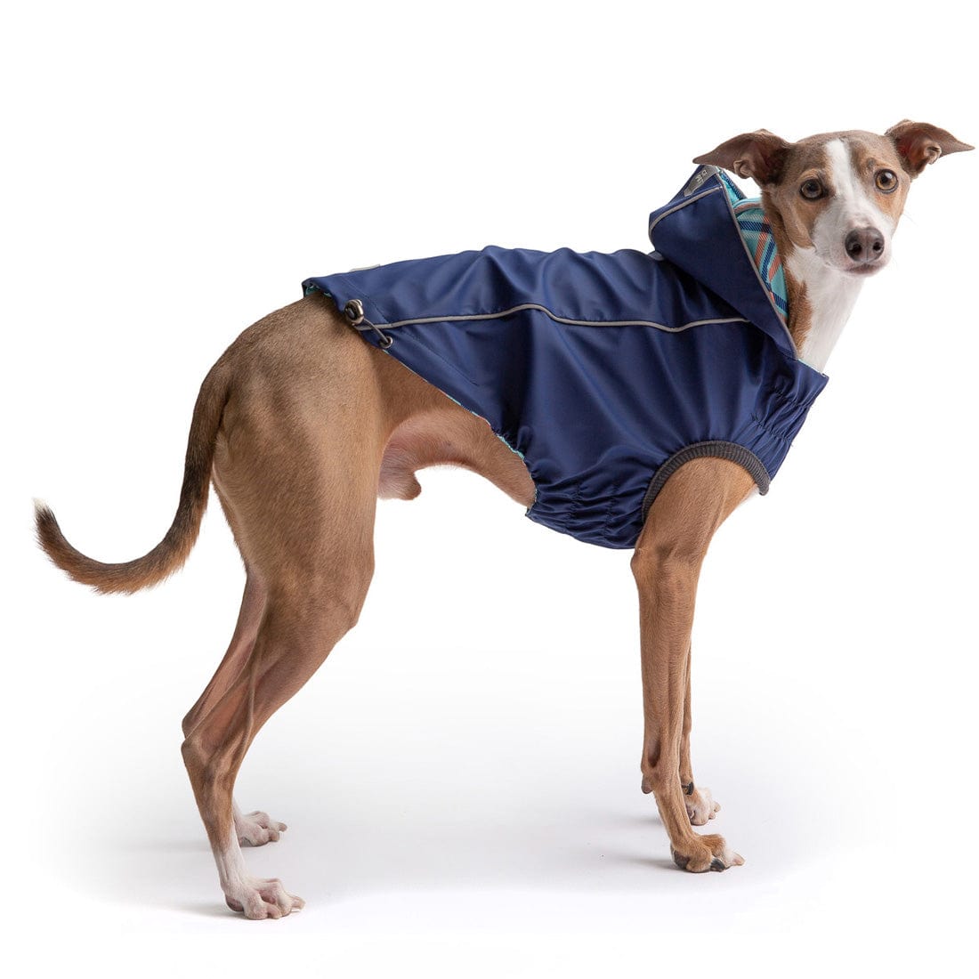 GF Pet - Reversible Elasto-Fit Raincoat - Navy